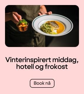 Middag og overnatting