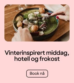 Middag og overnatting