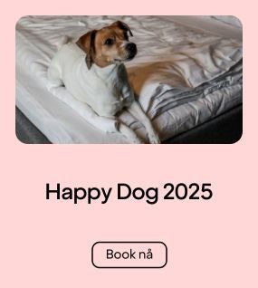 Happy Dog 2025