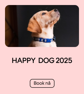 Happy Dog 2025