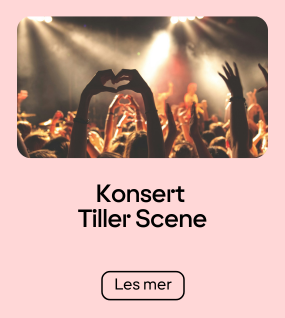 Konsert